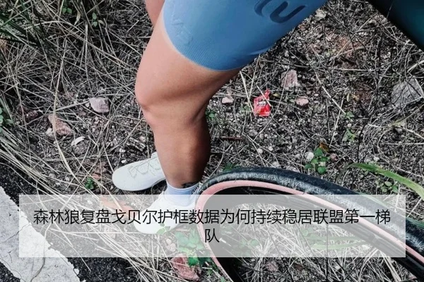 森林狼复盘戈贝尔护框数据为何持续稳居联盟第一梯队