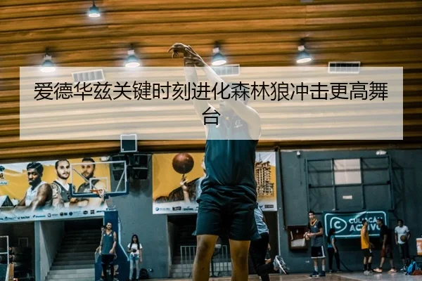 爱德华兹关键时刻进化森林狼冲击更高舞台
